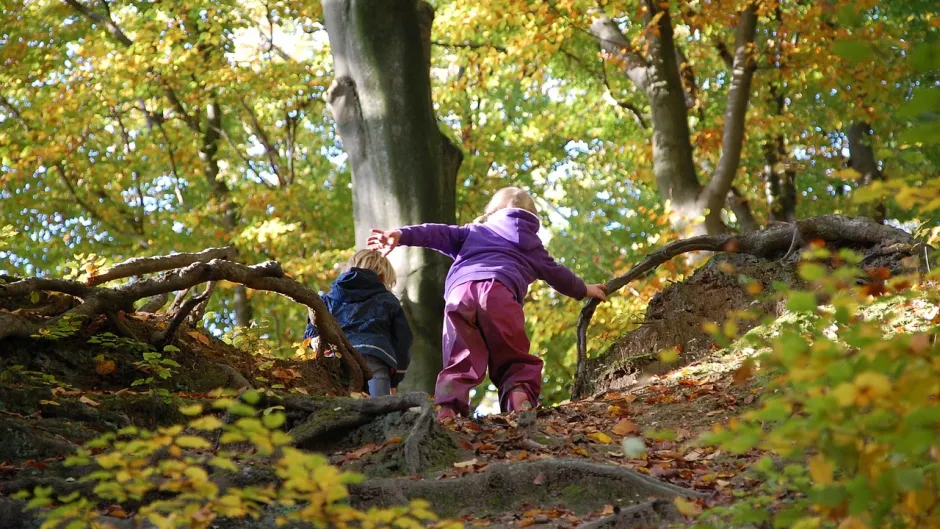 zwei Kinder klettern einen Abhang im Wald hinauf